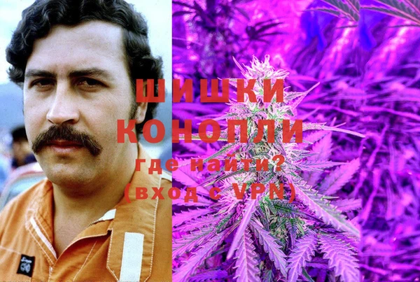 индика Белоозёрский