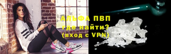 индика Белоозёрский