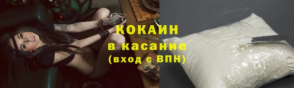 индика Белоозёрский