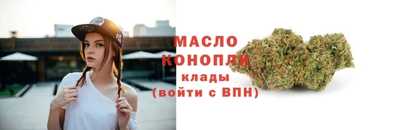 индика Белоозёрский