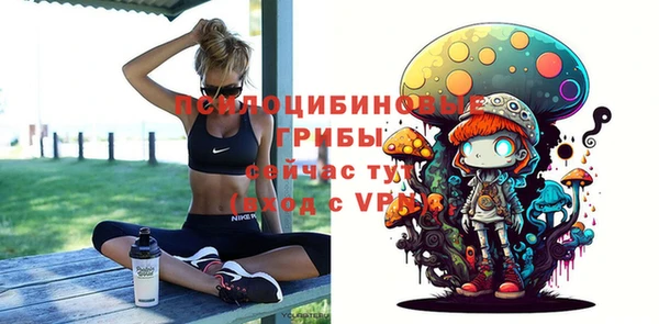 индика Белоозёрский