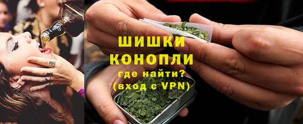индика Белоозёрский