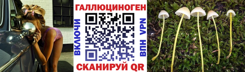 Псилоцибиновые грибы мицелий  Купить  Гдов 