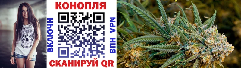 Марихуана OG Kush  Купить закладки  Гдов 